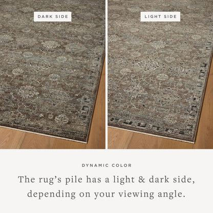 The Rug Corner Loloi Briar Bark / Lagoon
