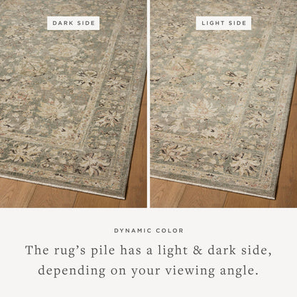 The Rug Corner Loloi Briar Fog / Sand
