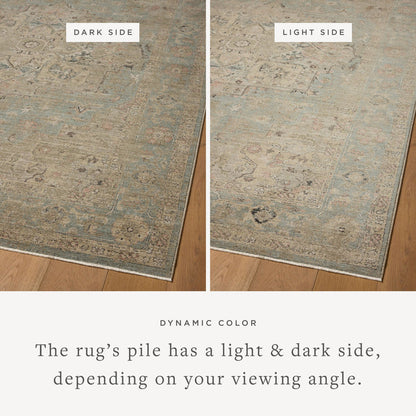 The Rug Corner Loloi Briar Sky / Moss