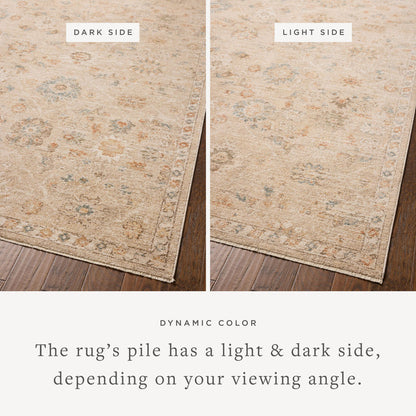 Chris Loves Julia - Palma Natural / Multi Area Rug