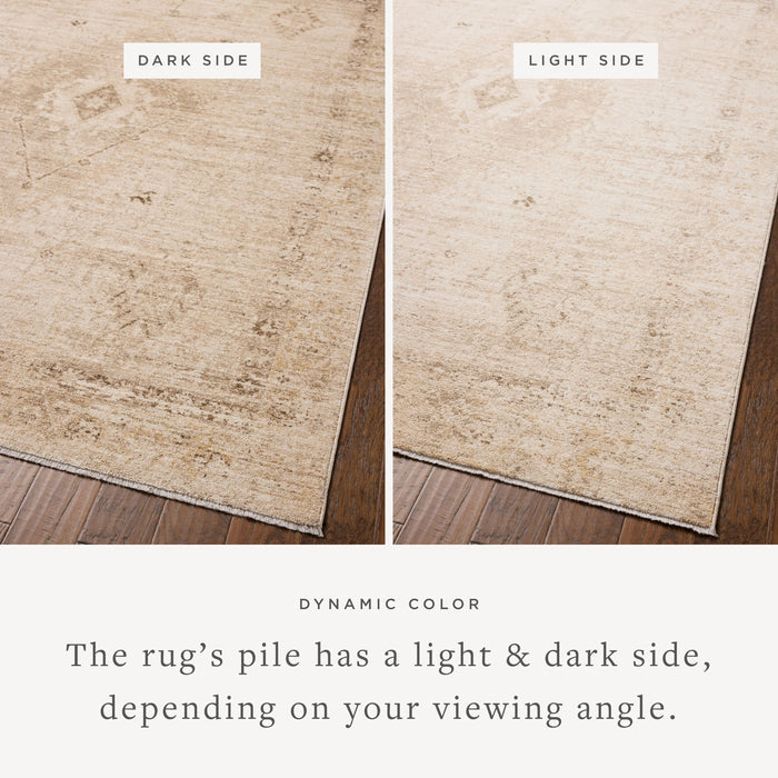 The Rug Corner Chris Loves Julia x Loloi Chris Loves Julia - Palma Natural / Smoke Area Rug