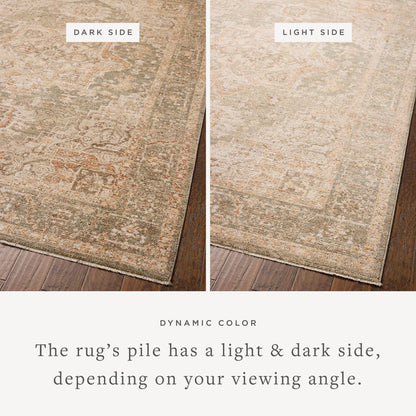 The Rug Corner Chris Loves Julia x Loloi Chris Loves Julia - Palma Olive / Spice Area Rug