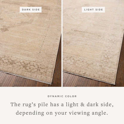 The Rug Corner Chris Loves Julia x Loloi Palma Wheat / Taupe