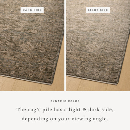 The Rug Corner Magnolia Home by Joanna Gaines x Loloi Junie Lagoon / Natural