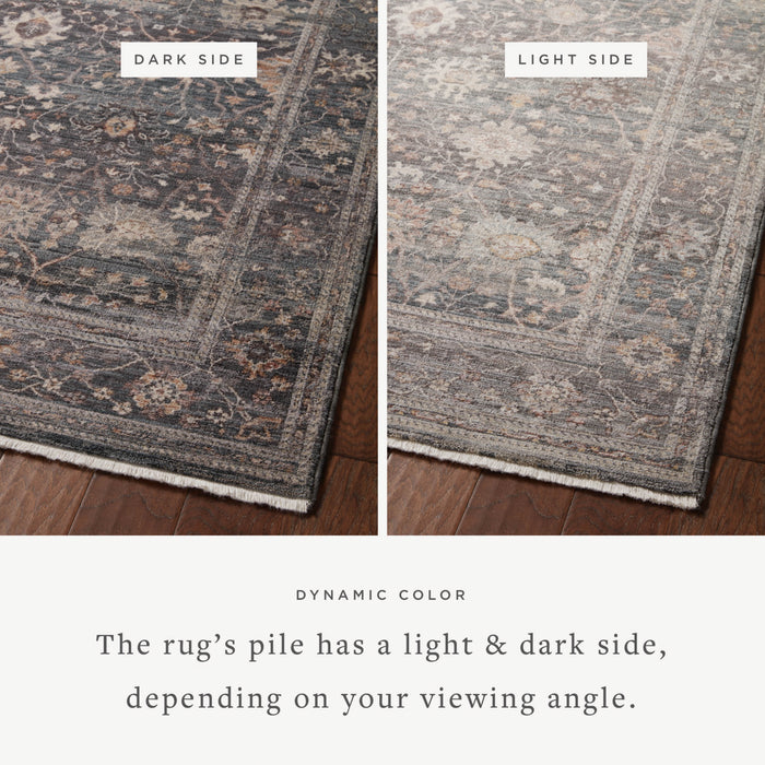 The Rug Corner Loloi Lyra Ink / Multi