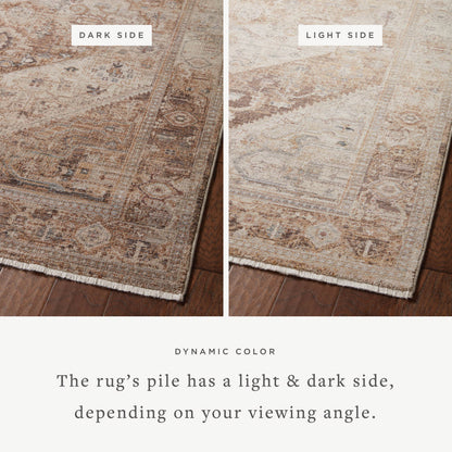 The Rug Corner Loloi Lyra Natural / Mocha