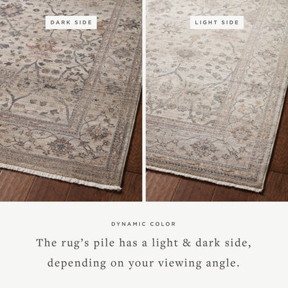 The Rug Corner Loloi Lyra Pebble / Multi