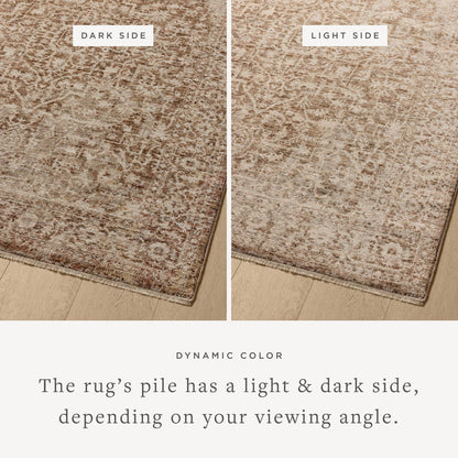 The Rug Corner Loloi II Newman Bark / Natural