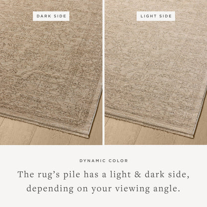 The Rug Corner Loloi II Newman Taupe / Bone
