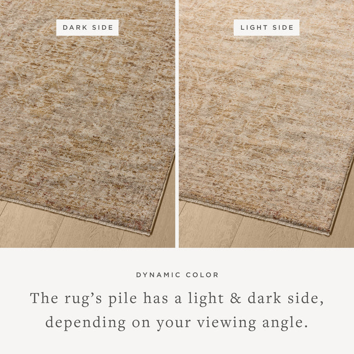The Rug Corner Loloi II Newman Wheat / Natural