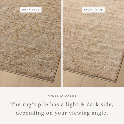 The Rug Corner Loloi II Newman Wheat / Natural
