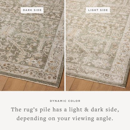 The Rug Corner Magnolia Home by Joanna Gaines x Loloi Pace Forrest / Natural