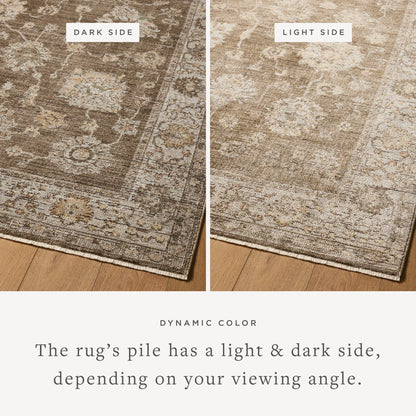 The Rug Corner Loloi Priscilla Bark / Ivory