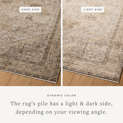 The Rug Corner Loloi Priscilla Beige / Earth