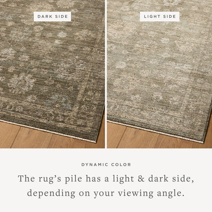 The Rug Corner Loloi Priscilla Olive / Sand
